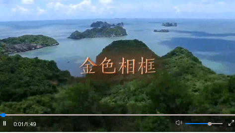 攜手奔赴中越命運(yùn)共同體的美好明天——中共中央總書(shū)記、國(guó)家主席