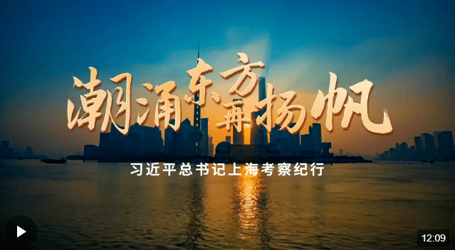 時政微紀錄丨潮涌東方再揚帆——習(xí)近平總書記上海考察紀行