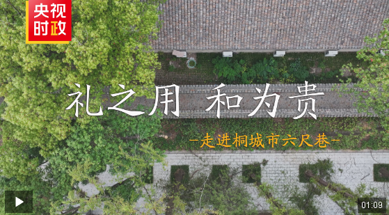 習近平安徽行丨禮之用 和為貴——走進桐城市六尺巷