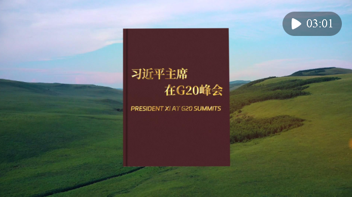 視頻畫(huà)報(bào)｜習(xí)近平主席在G20峰會(huì)