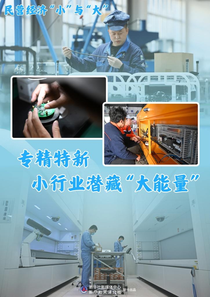 民營經(jīng)濟“小”與“大”｜專精特新，小行業(yè)潛藏“大能量”