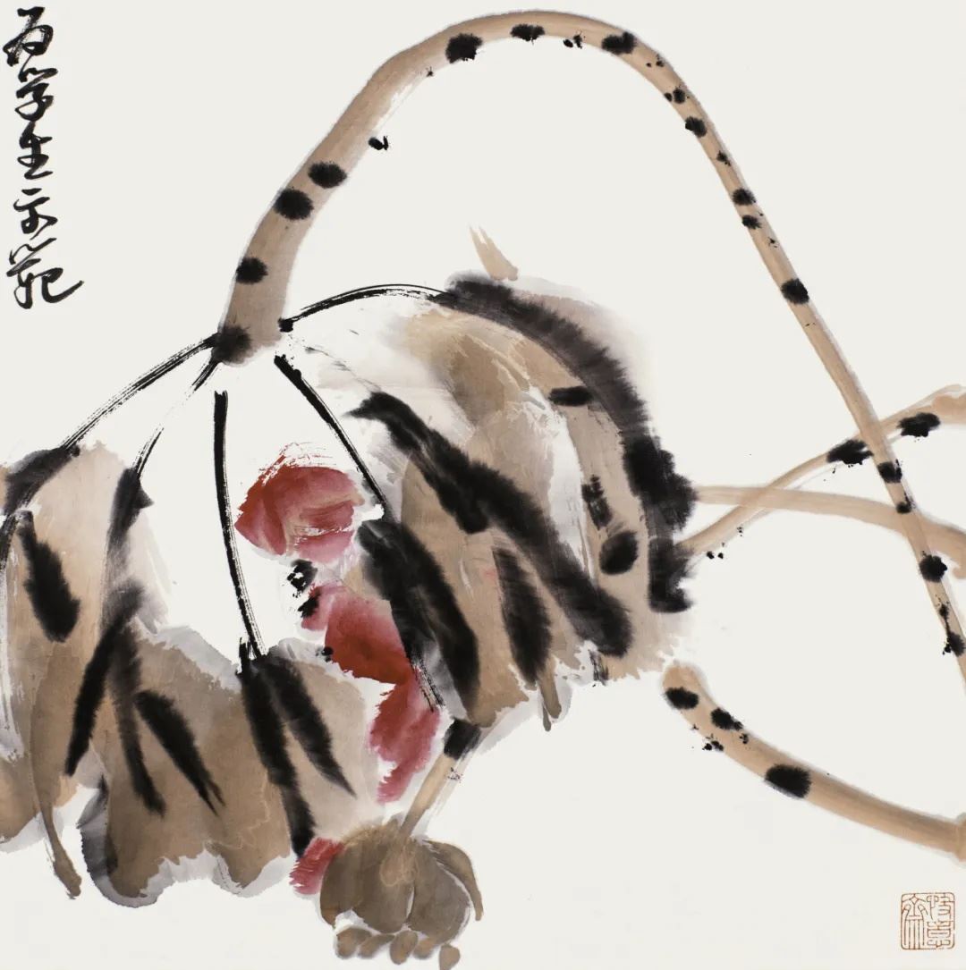 為學(xué)生示范畫荷花（課稿）