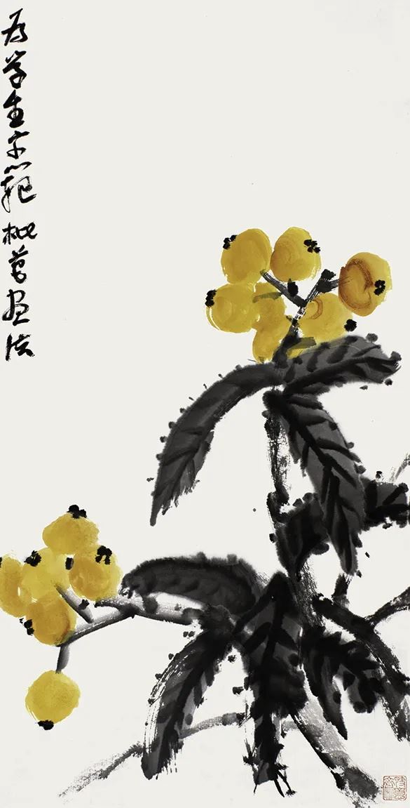 為學(xué)生示范枇杷畫法（課稿）