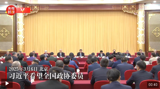 獨家視頻丨習近平看望全國政協(xié)委員